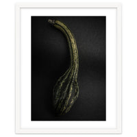 Gourds No 9 Color Version