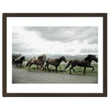 Running horses - Iceland thumbnail