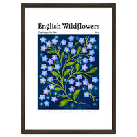 English Wildflowers | Forget-Me-Not