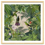 Tropical Hummingbird Jungle thumbnail