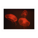 At the aquarium #4 (Print Only) thumbnail