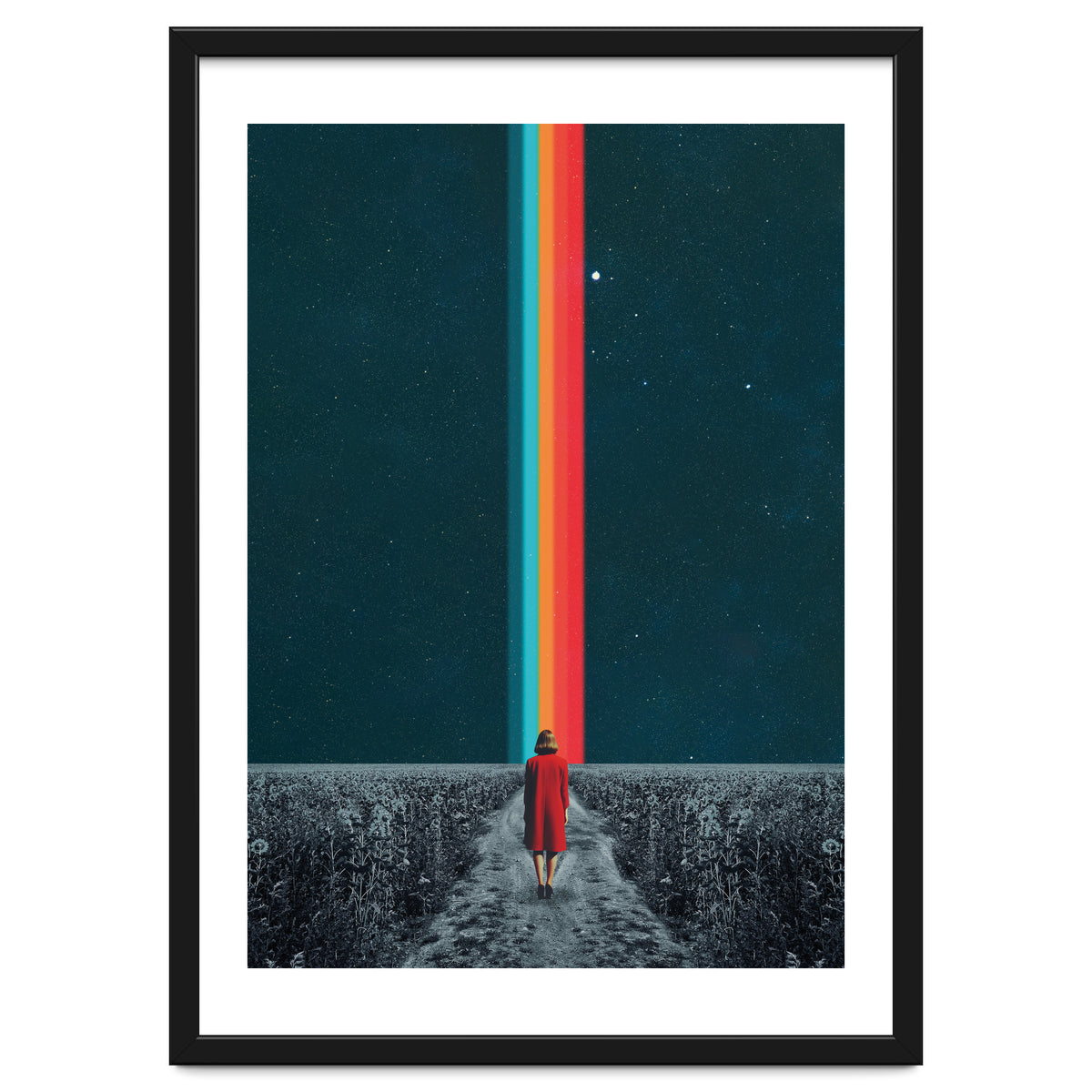 Follow Your Own Path