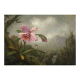 Martin Johnson Heade (Lumberville, 1819-St. Augustine, 1904). Orchid and Hummingbird near a Water... (Print Only) thumbnail