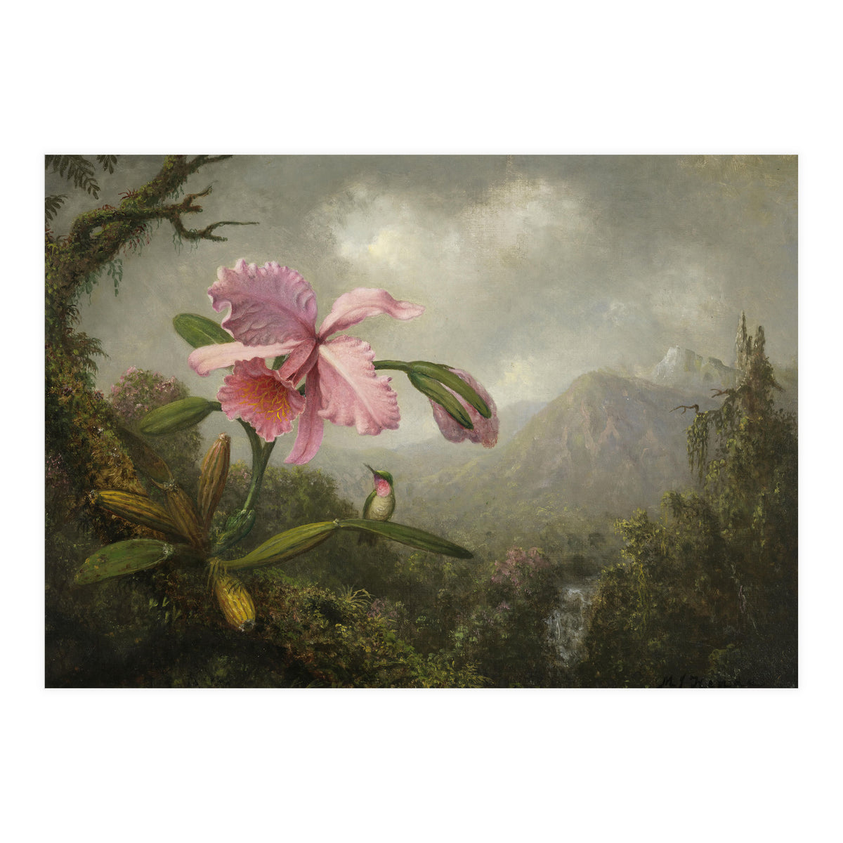 Martin Johnson Heade (Lumberville, 1819-St. Augustine, 1904). Orchid and Hummingbird near a Water... (Print Only)