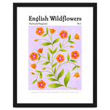 English Wildflowers | Scarlet Pimpernel thumbnail