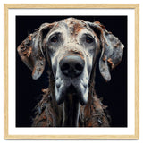 Old Dog 04 thumbnail
