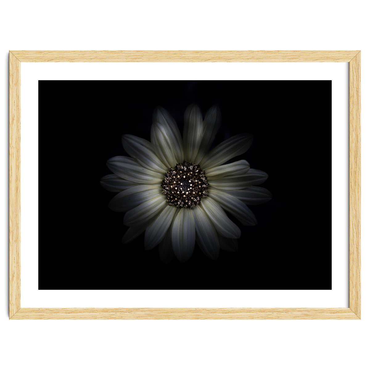 Backyard Flowers No 27 Color Version