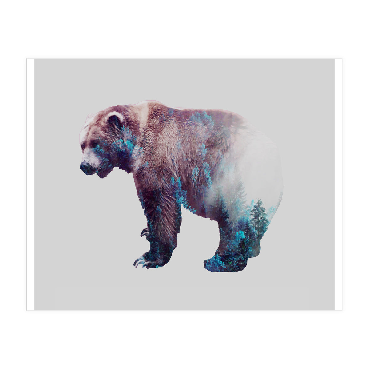 Repressed Transformation (Print Only)