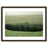 Small forest - Iceland thumbnail
