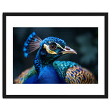Peacock Head Close Up Majestic Blue Bird thumbnail