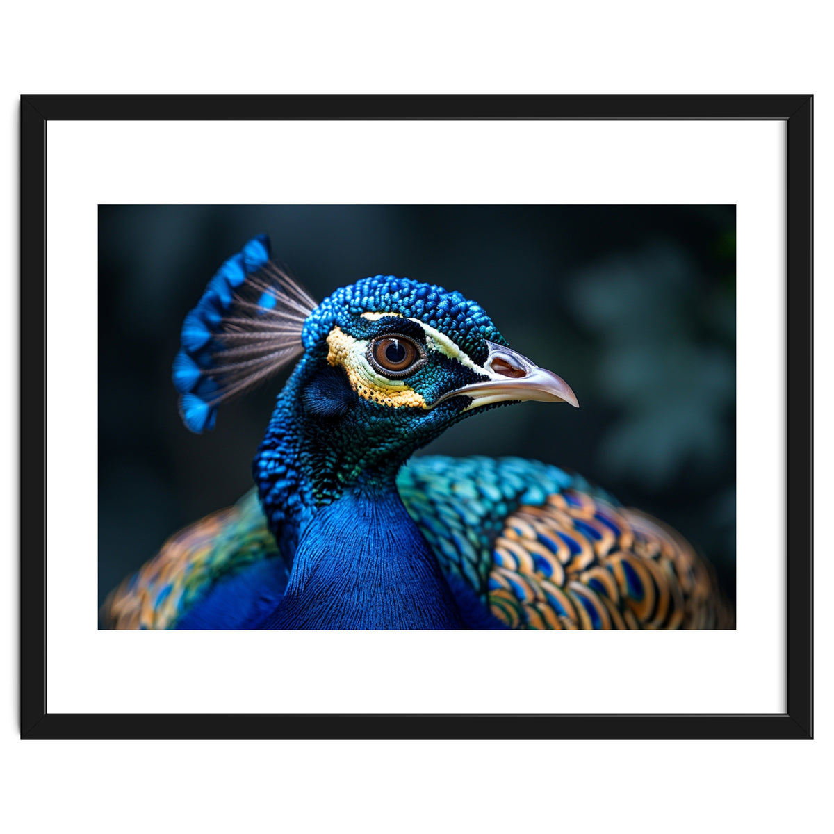 Peacock Head Close Up Majestic Blue Bird