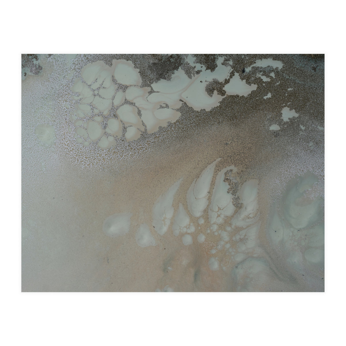 Nature Place (Print Only)