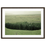 Small forest - Iceland thumbnail