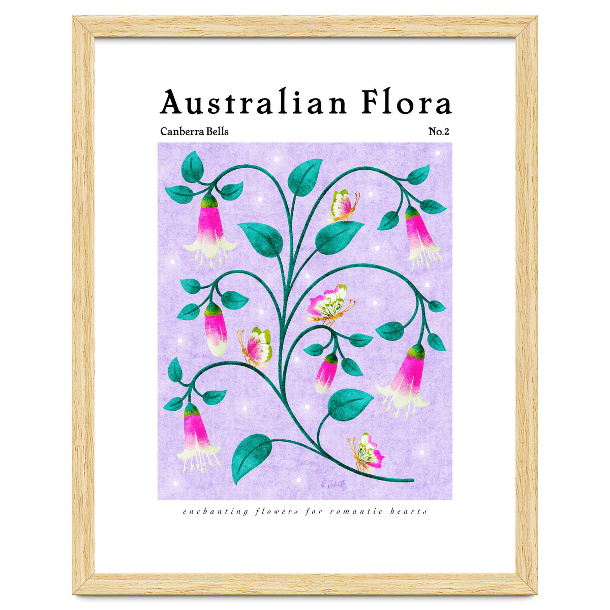 Australian Flora: Canberra Bells