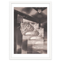 Evolving | Sepia