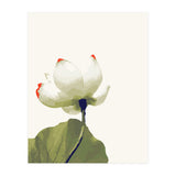 Alive (Print Only) thumbnail