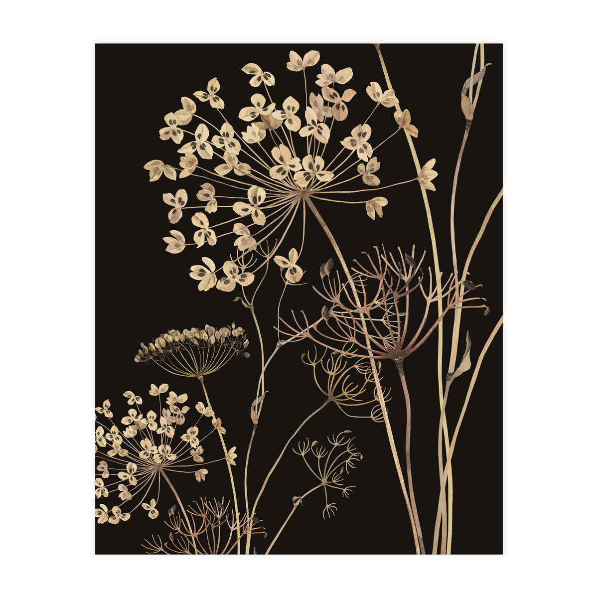 Wildflowers I (Print Only)