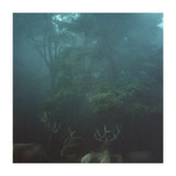 Silence of breath - 12 (Print Only) thumbnail
