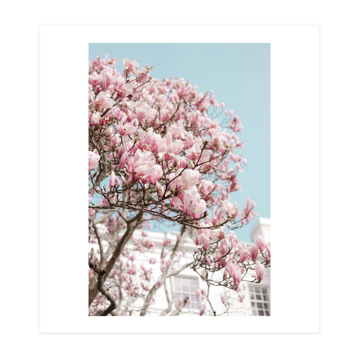 Spring Time (Print Only)