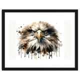 Fierce Bald Eagle Portrait thumbnail