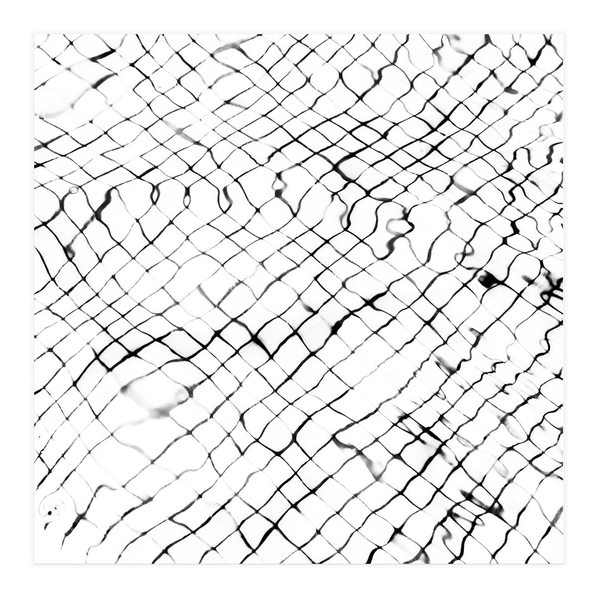 Reflection (Print Only)