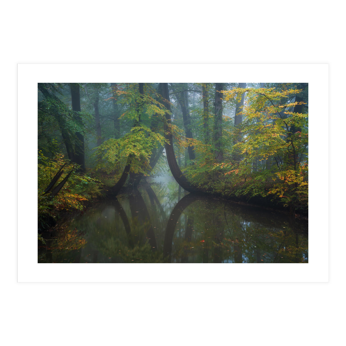 The bent ones (Print Only)