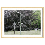 Signs at the corner of the street thumbnail