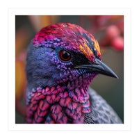 Vibrant Exotic Bird Detailed Feather Close Up (Print Only)