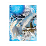 Snow Owl (Print Only) thumbnail