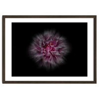 Backyard Flowers No 116 Color Flow Version