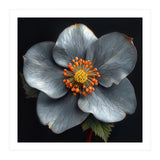 Hellebore | Silver Magic (Print Only) thumbnail