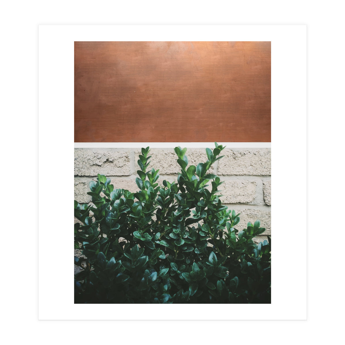 Plant + Copper (Print Only)