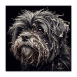 Old Dog 02 (Print Only) thumbnail