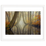 Bent trees in autumn thumbnail