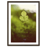 Out of the green thumbnail