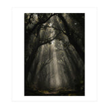 Enchanted Canopy: Mystical Forest Path (Print Only) thumbnail