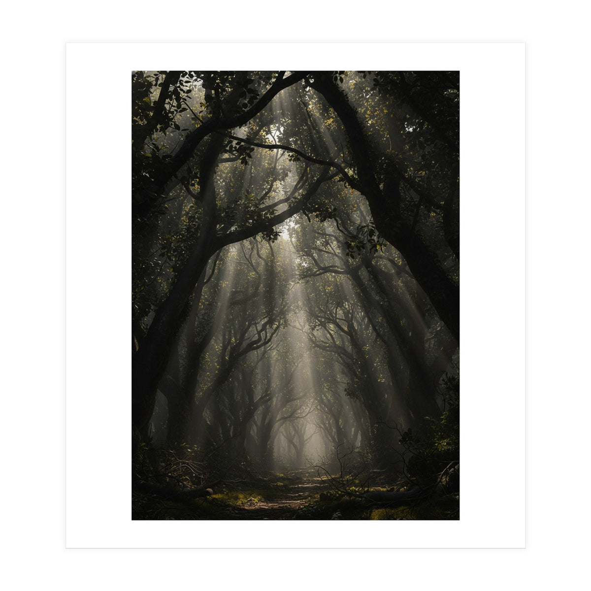 Enchanted Canopy: Mystical Forest Path (Print Only)