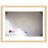 The Little Prince thumbnail