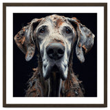 Old Dog 04 thumbnail