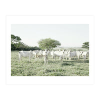 LIVING TOGETHER - WHITE COWS FAMILY (Print Only)