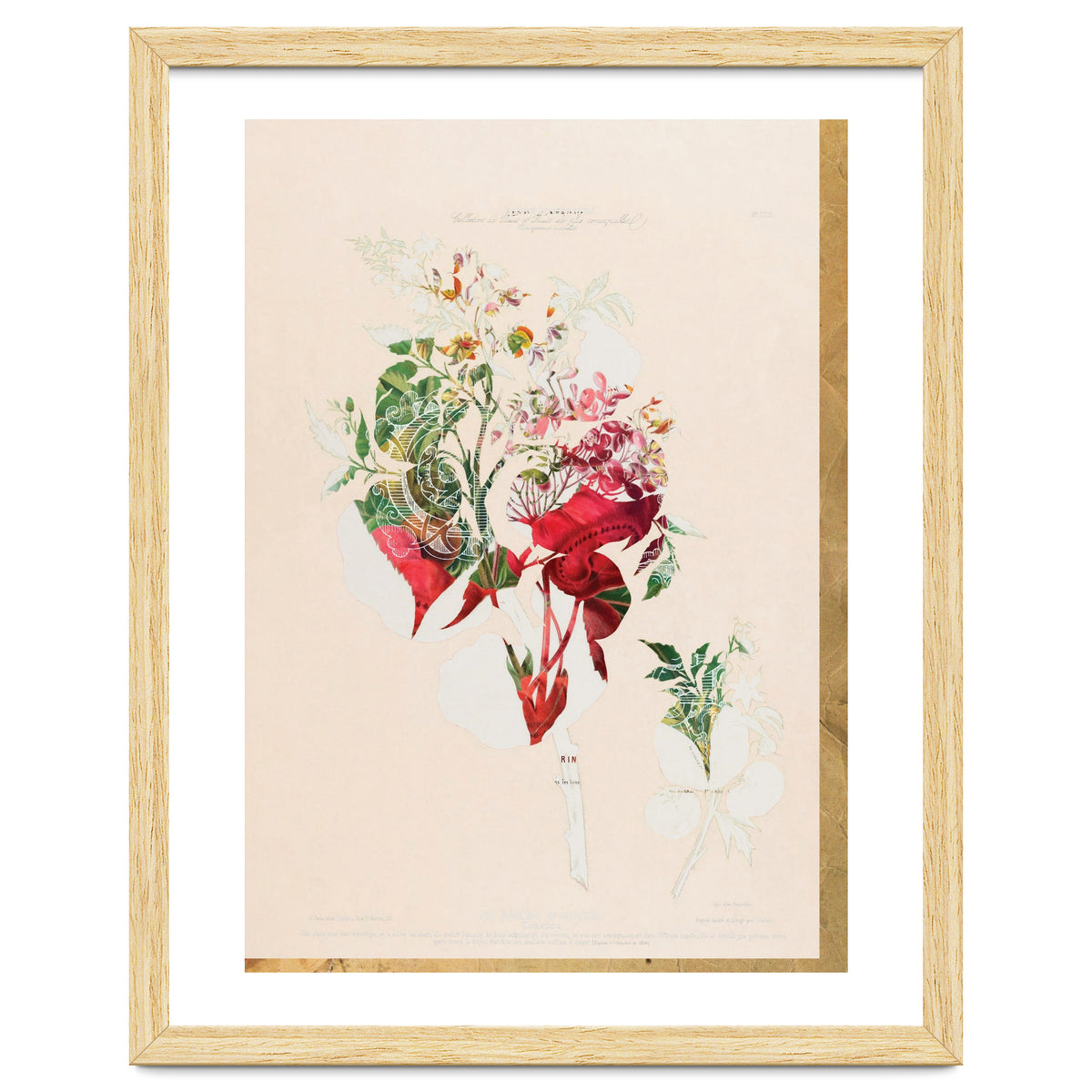 The First Plant · Aufbluehen