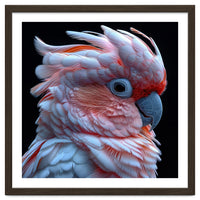 Pink Cockatoo Parrot Close Up Portrait Feather