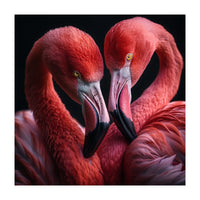 Two Flamingos Together (Print Only)