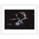 Deer Skull thumbnail