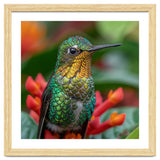 Close Up Of A Hummingbird On Red Flowers thumbnail