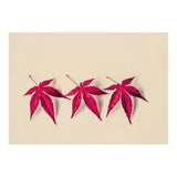 Dancing Leaves (Print Only) thumbnail