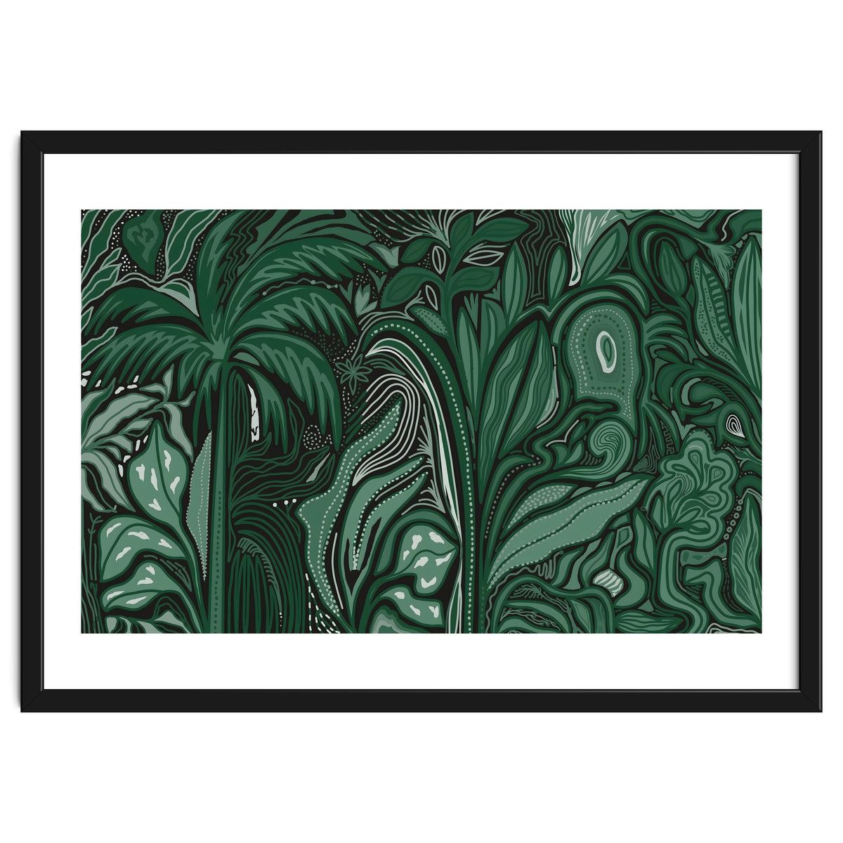 Noctiverdis magnifolia arcana tropical green