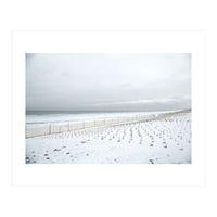 Winter grass in snow beach (Print Only)