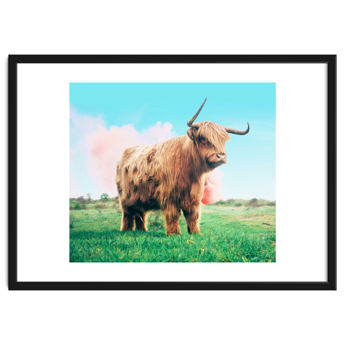 Highland Cow #society6 #decor #buyart