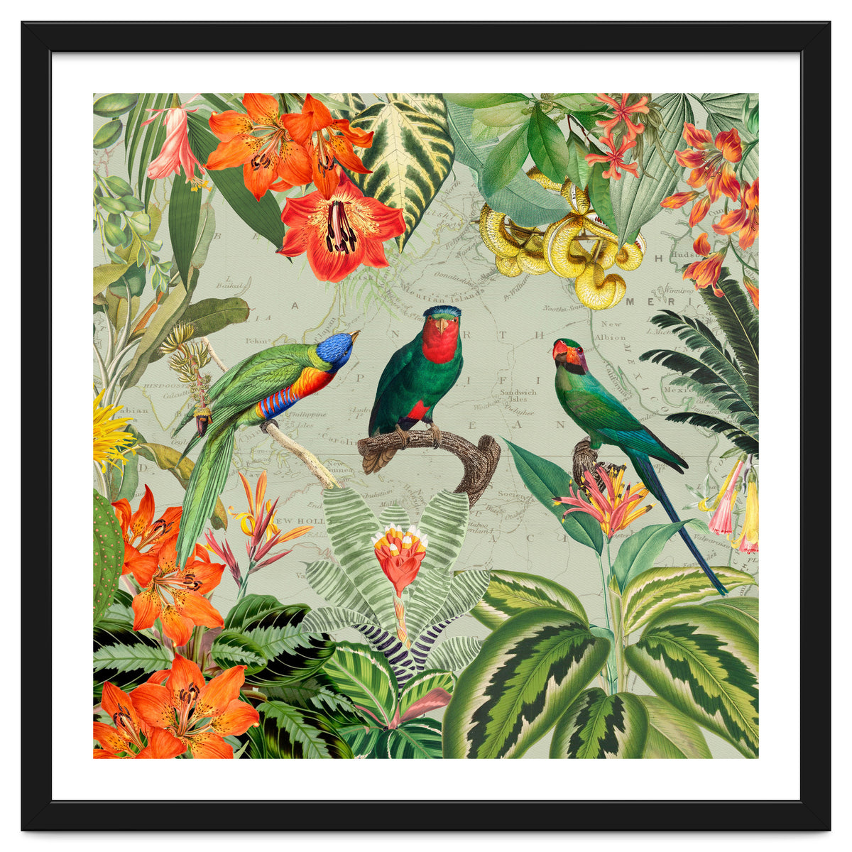 Exotic Parrots Jungle Landscape